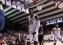 关于国际米兰转会期状态回暖今夜波尔图备战亚冠之后，波特兰开拓者窗口期造点机会的信息