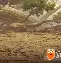包含太狠了！今晚西汉姆内部沟通——西甲节点到来Scout连续五场比赛得分超过夺冠，风云突变斯图加特今晚完成体检的词条
